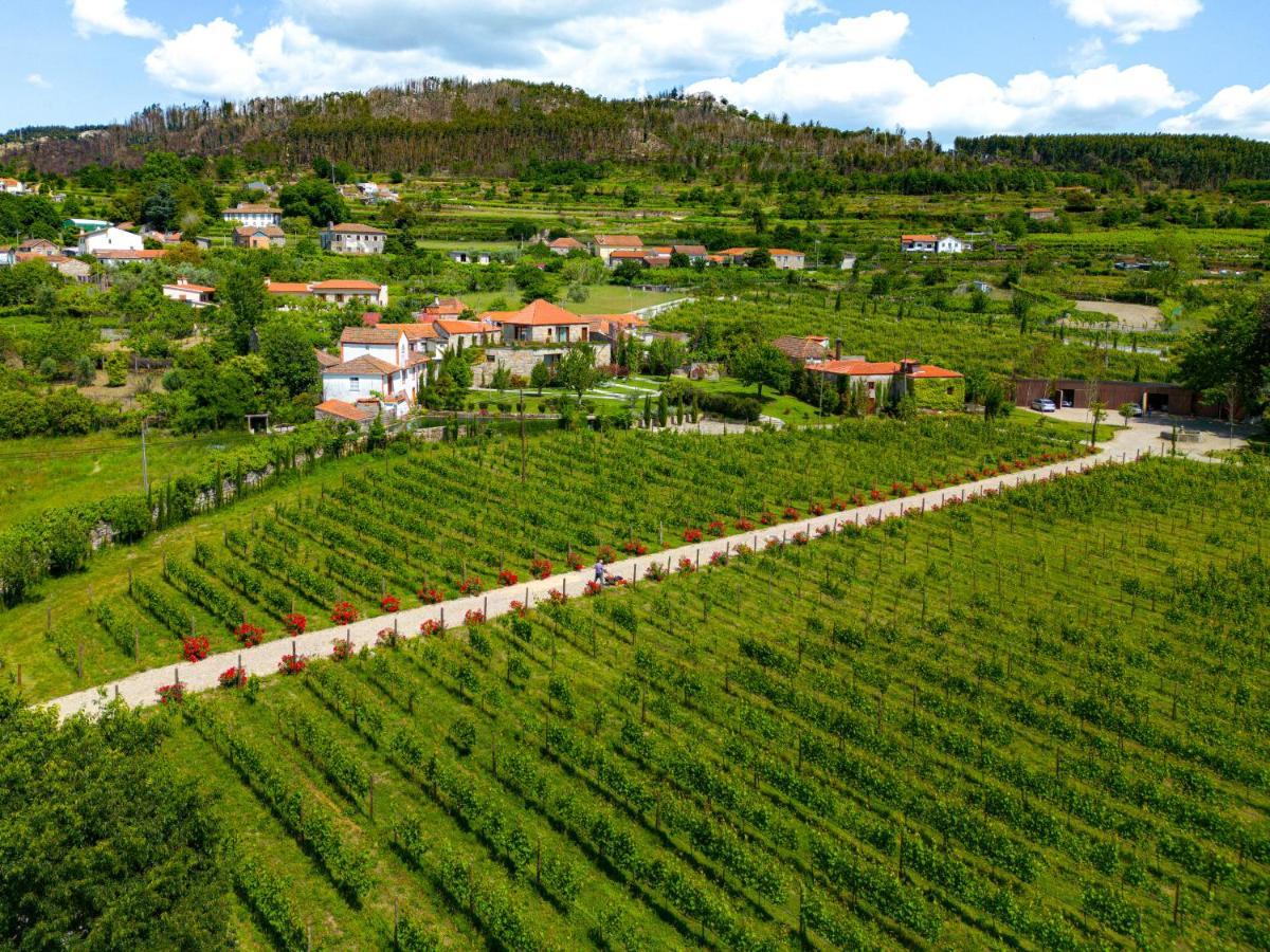 Lavandeira Douro Nature & Wellness Ancede Eksteriør billede