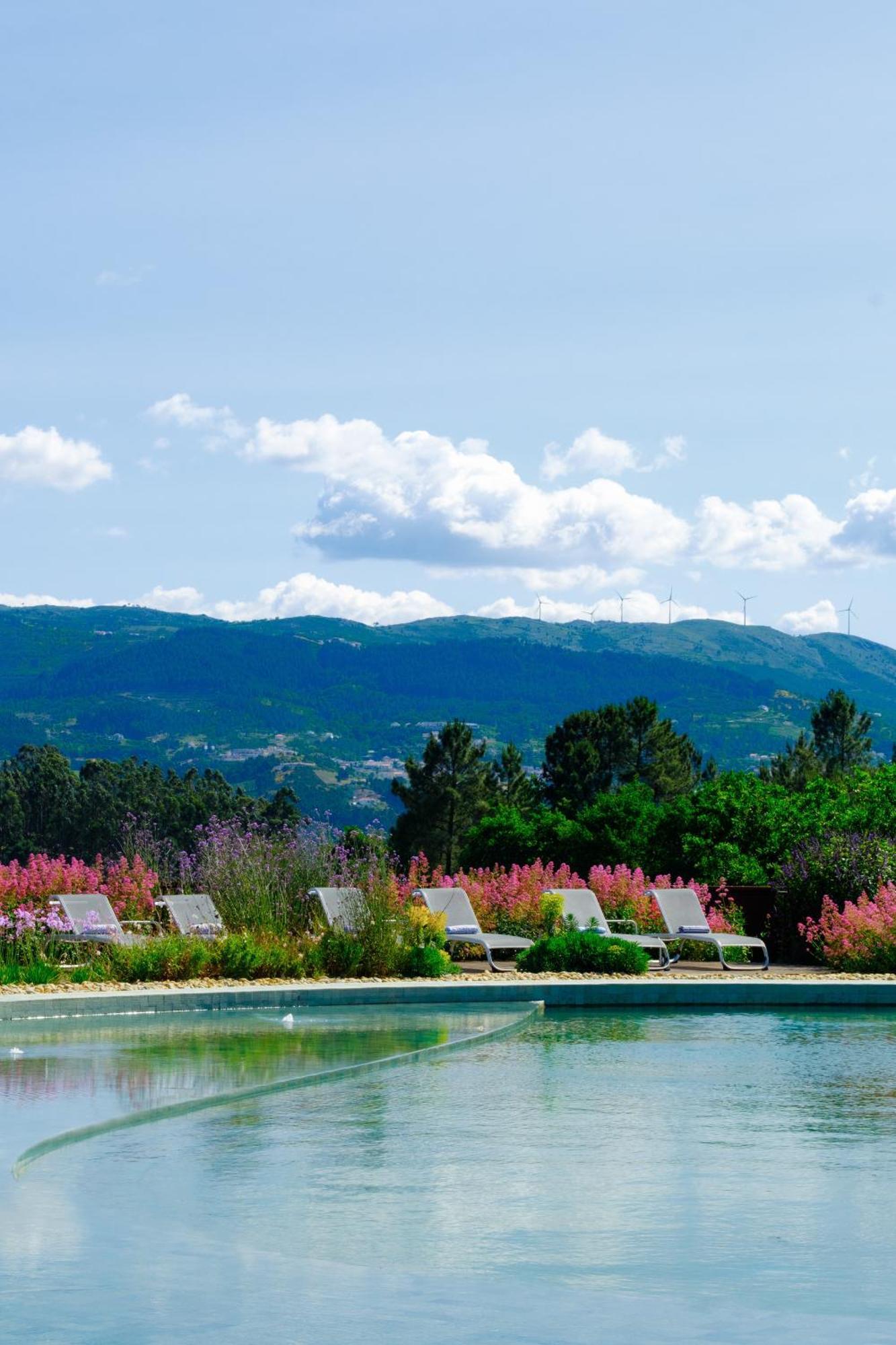 Lavandeira Douro Nature & Wellness Ancede Eksteriør billede