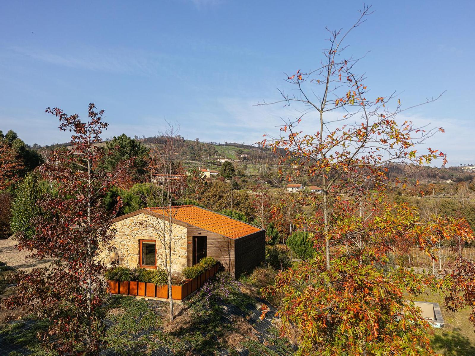 Lavandeira Douro Nature & Wellness Ancede Eksteriør billede